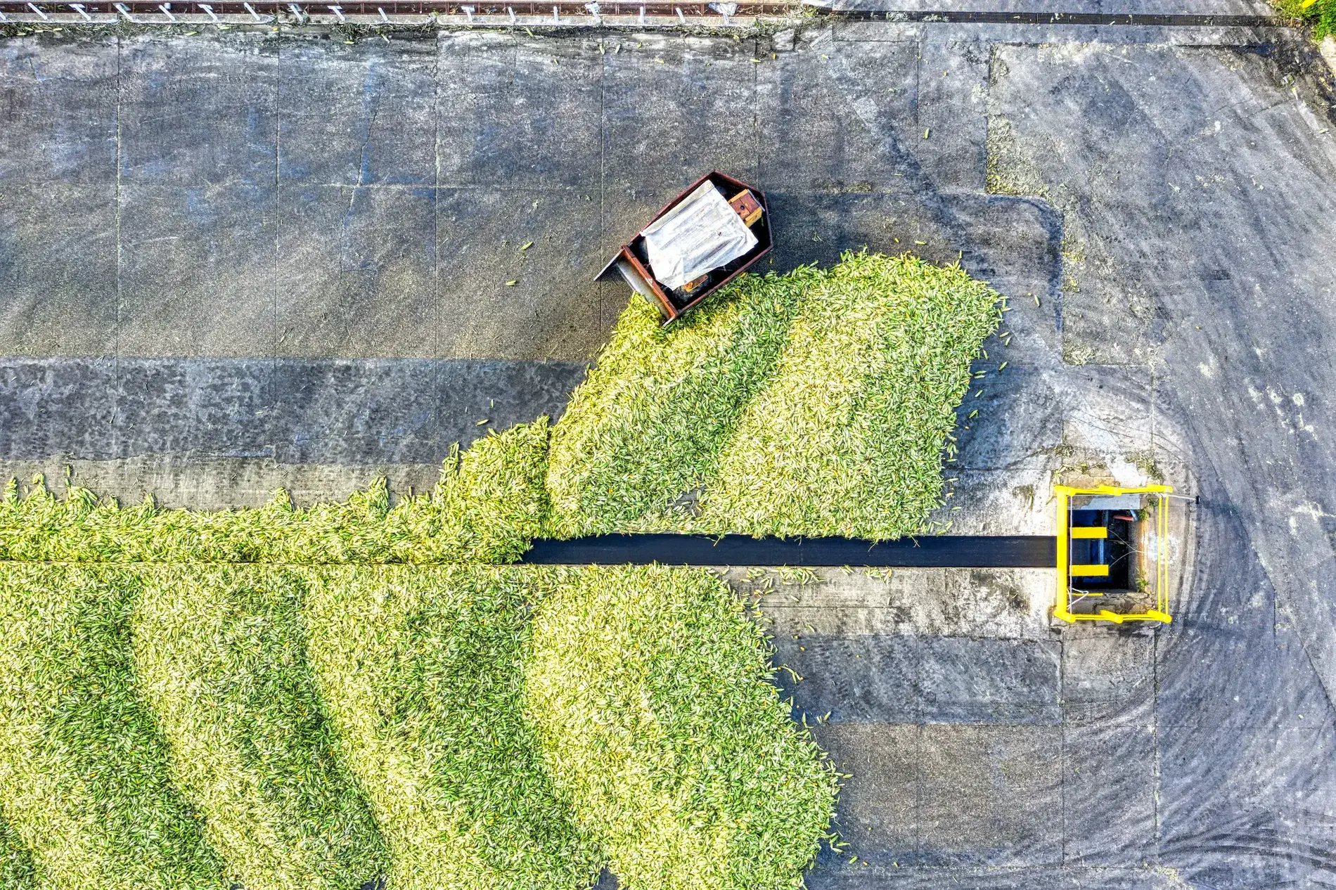 Certified feedstock at collection